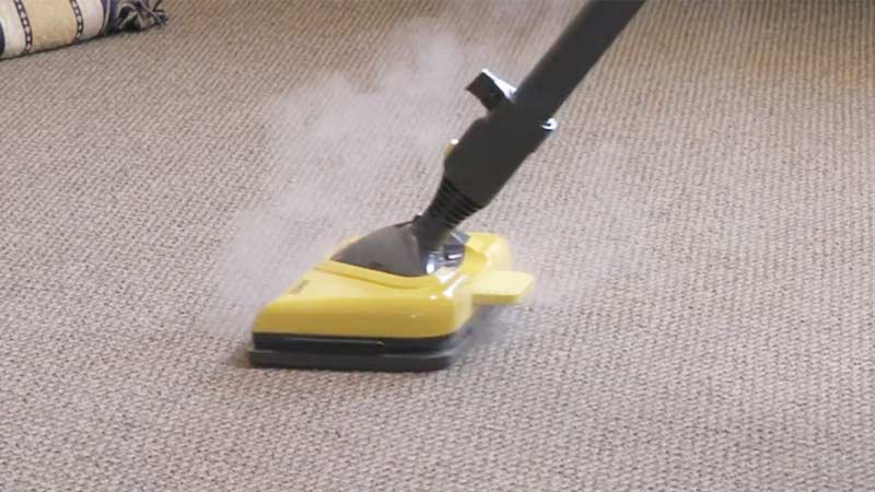 How To Get Rid Of Bed Bugs In Carpet