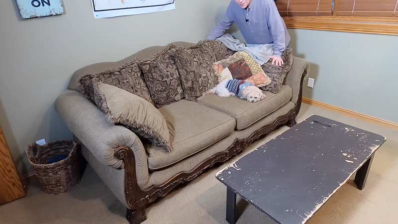 How To Dispose Of Bed Bug Infested Furniture